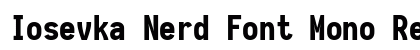 Iosevka Nerd Font Mono Regular Preview