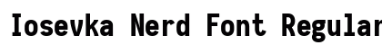 Iosevka Nerd Font Regular Preview