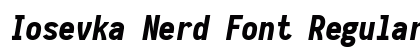 Iosevka Nerd Font Regular Preview