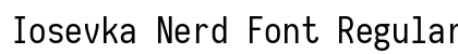 Iosevka Nerd Font Regular Preview