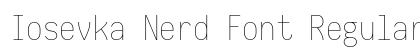 Iosevka Nerd Font Regular Preview