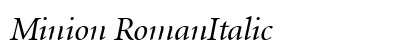 Minion RomanItalic Preview