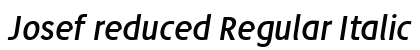 Josef reduced Regular Italic Preview
