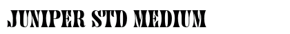 Juniper Std Medium preview