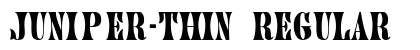 Juniper-Thin Regular preview