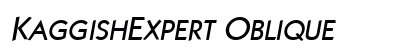 KaggishExpert Oblique preview