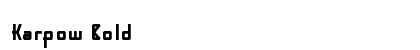 Karpow Bold preview