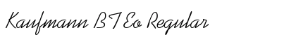Kaufmann BT Eo Regular preview