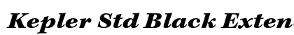 Kepler Std Black Extended Italic Caption Preview