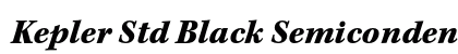 Kepler Std Black Semicondensed Italic Caption Preview