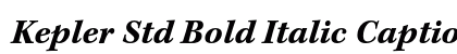 Kepler Std Bold Italic Caption Preview