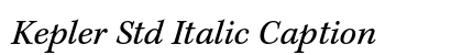 Kepler Std Italic Caption Preview