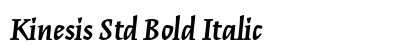 Kinesis Std Bold Italic Preview