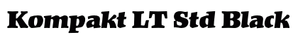 Kompakt LT Std Black preview