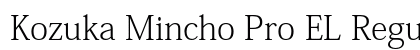 Kozuka Mincho Pro EL Regular preview