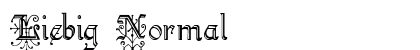 Liebig Normal preview