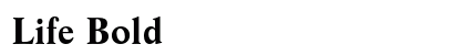 Life Bold Preview