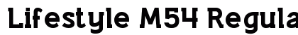 Lifestyle M54 Regular preview