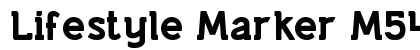Lifestyle Marker M54 Regular preview