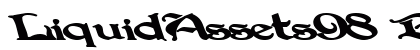 LiquidAssets98 Bold preview
