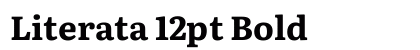 Literata 12pt Bold preview