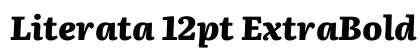 Literata 12pt ExtraBold Italic preview