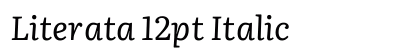 Literata 12pt Italic preview