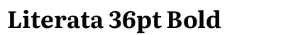 Literata 36pt Bold preview