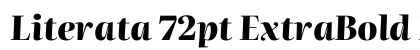 Literata 72pt ExtraBold Italic preview