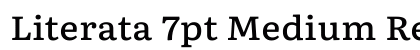 Literata 7pt Medium Regular Preview
