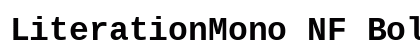 LiterationMono NF Bold preview