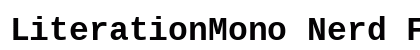 LiterationMono Nerd Font Bold preview