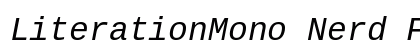 LiterationMono Nerd Font Mono Italic preview