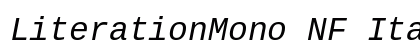 LiterationMono NF Italic preview