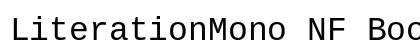 LiterationMono NF Book Preview