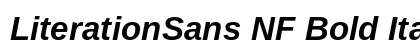 LiterationSans NF Bold Italic Preview
