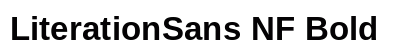 LiterationSans NF Bold preview