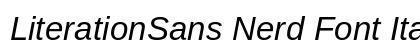 LiterationSans Nerd Font Italic preview
