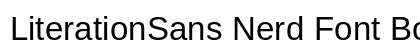 LiterationSans Nerd Font Book Preview