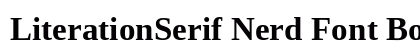 LiterationSerif Nerd Font Bold preview