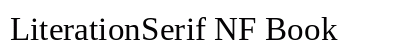LiterationSerif NF Book Preview