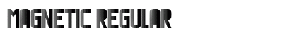 Magnetic Regular preview