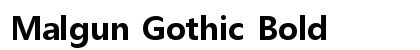 Malgun Gothic Bold preview