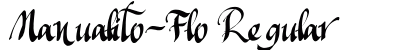 Manualito-Flo Regular preview