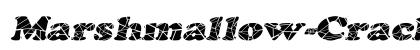 Marshmallow-Cracked-Extended Italic preview