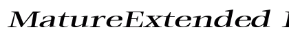 MatureExtended Italic preview