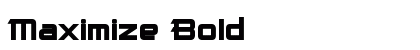 Maximize Bold preview