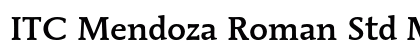 ITC Mendoza Roman Std Medium Preview