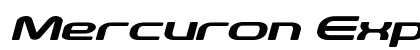 Mercuron Expanded Italic Preview