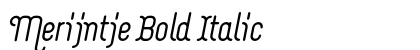 Merijntje Bold Italic preview